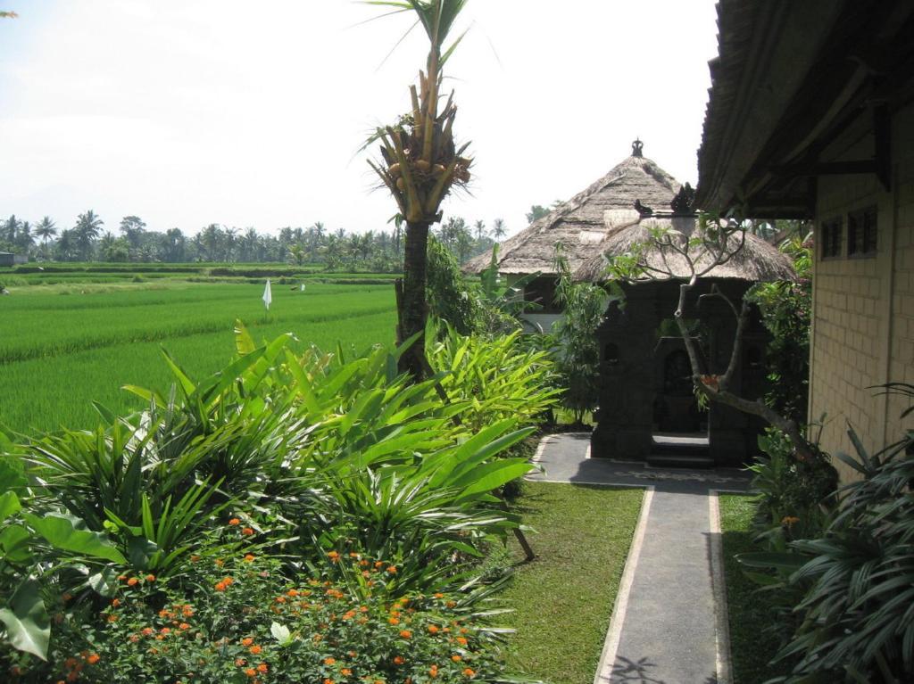 Terang Bulan Cottages Ubud Zewnętrze zdjęcie