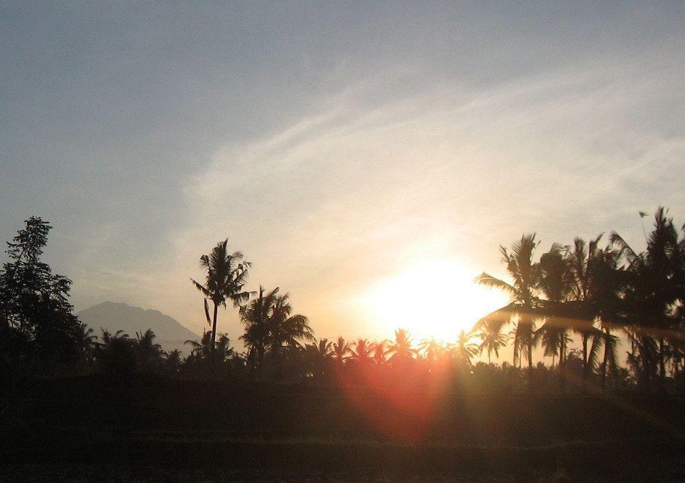 Terang Bulan Cottages Ubud Zewnętrze zdjęcie