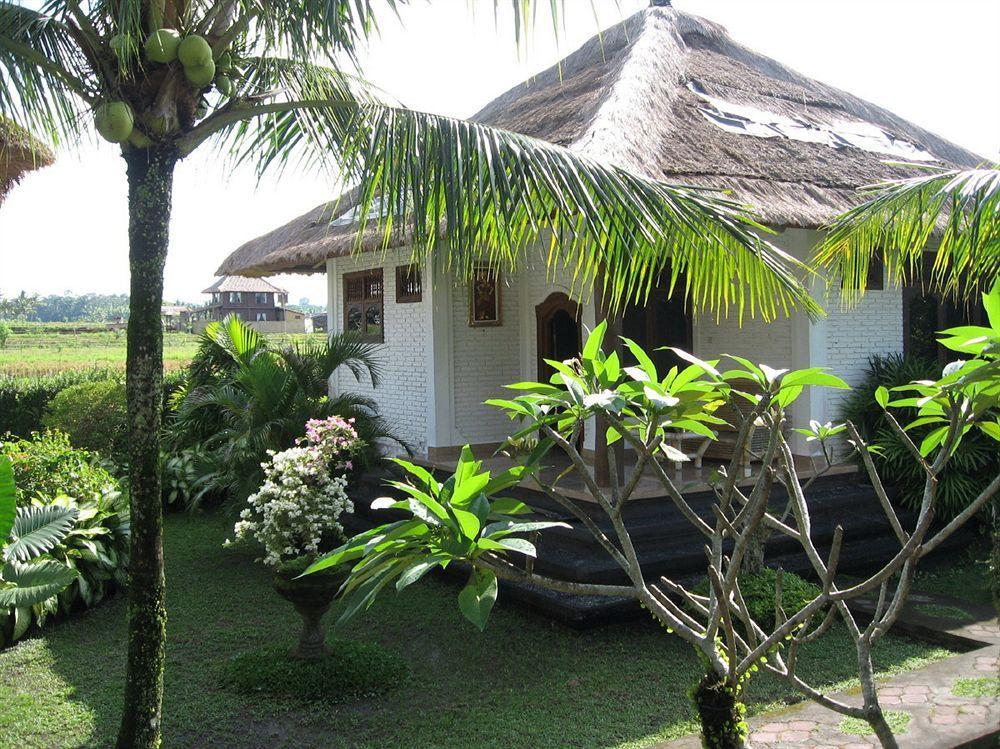 Terang Bulan Cottages Ubud Zewnętrze zdjęcie