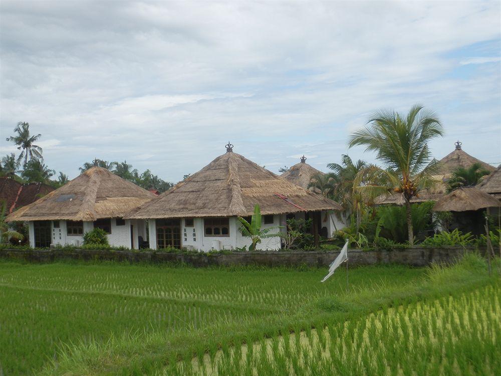 Terang Bulan Cottages Ubud Zewnętrze zdjęcie