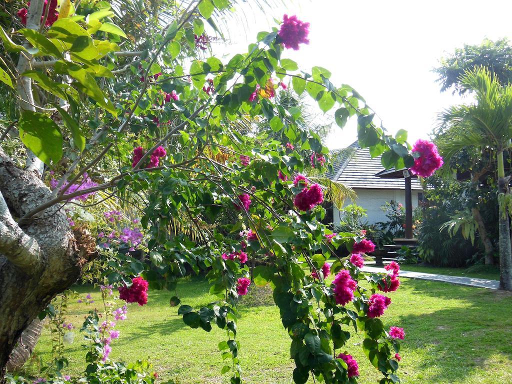 Terang Bulan Cottages Ubud Zewnętrze zdjęcie