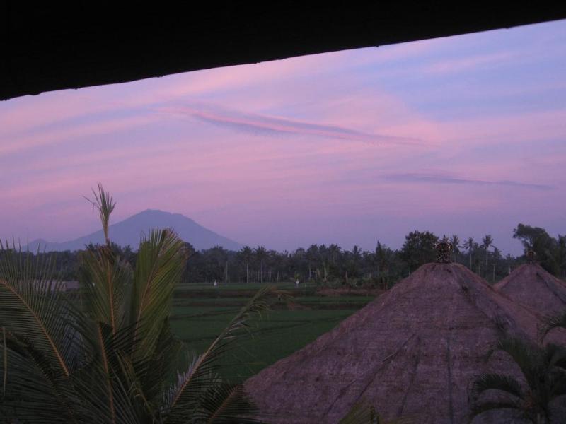 Terang Bulan Cottages Ubud Zewnętrze zdjęcie