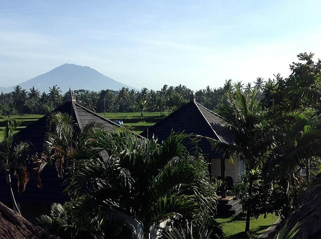 Terang Bulan Cottages Ubud Zewnętrze zdjęcie